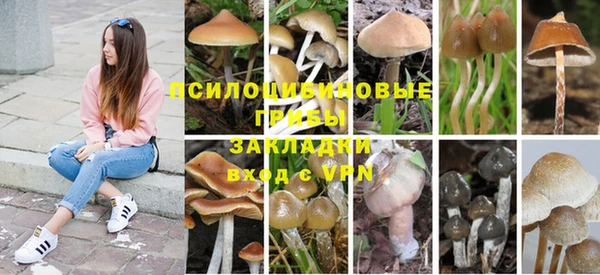 твердый Абдулино