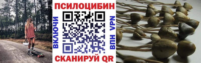 Галлюциногенные грибы мицелий  Тбилисская 