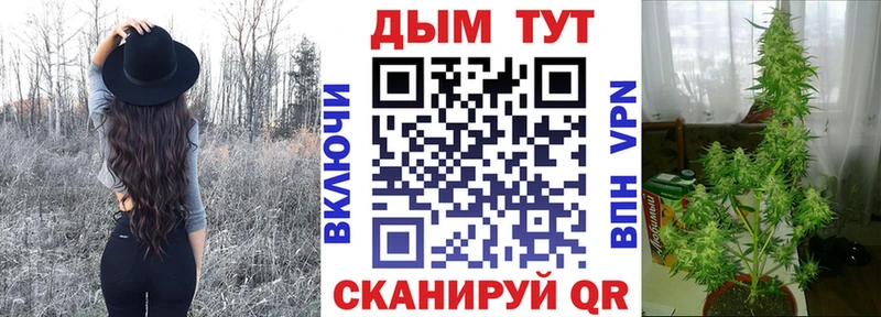 Каннабис гибрид  MEGA маркетплейс  Тбилисская 